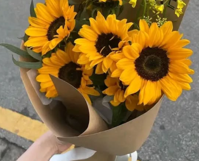 sunflowerchives's tweet photo. A happy bloom https://t.co/QgnASWbeK5