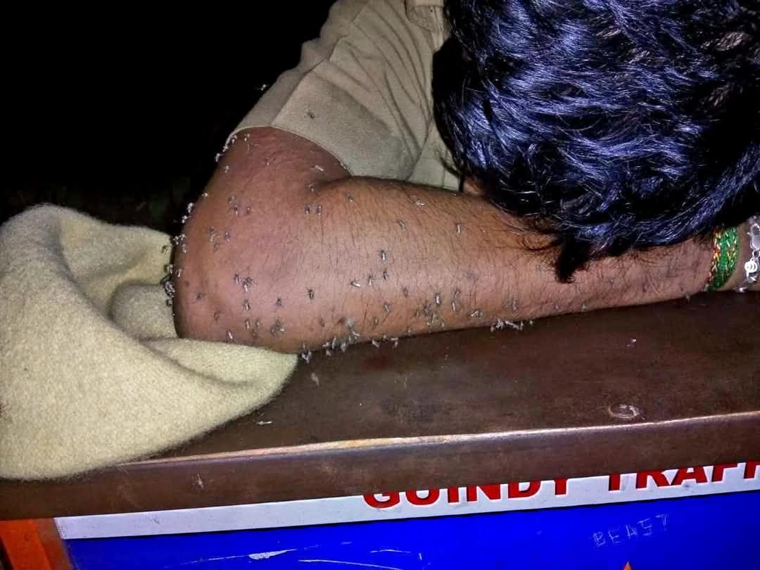 ऐसी कोई चौखट नहीं जहां पुलिस अपना दर्द बता सके 😢

आपको एक मच्छर काट ले तो नींद नही आती है, यहां 24 से 48 घण्टे तक कभी-2 लगातार ड्यूटी करने वाले पुलिसकर्मी की हालत देखी है क्या कभी आपने 

गौर से देखिये
यह तस्वीर एक पुलिसकर्मी की है जिसकी बांह पर एक सेंकड़ों मच्छर खून पी रहे है👇