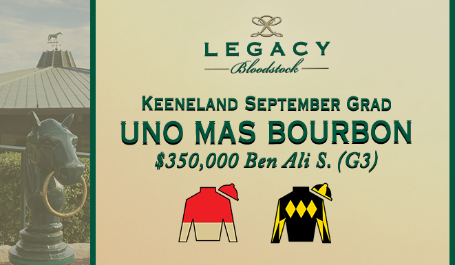 Legacy Bloodstock (@legacybloodstoc) on Twitter photo ๐ซ Last year's MGSP Super Derby hero UNO MAS BOURBON returns to Stakes company in today's $350,000 Ben Ali S. (G3) <a href="/keenelandracing/">Keeneland Racing</a>
๐ Best of luck to <a href="/BourbonLane/">Bourbon Lane Stable</a>, <a href="/SixColumn/">Six Column Stables</a>, <a href="/IanWilkesRacing/">Ian Wilkes</a> & <a href="/b_hernandezjr/">Brian Hernandez</a>
#LegacyBuilder ๐ ๐ ๐ซ Last year's MGSP Super Derby hero UNO MAS BOURBON returns to Stakes company in today's $350,000 Ben Ali S. (G3) <a href="/keenelandracing/">Keeneland Racing</a>
๐ Best of luck to <a href="/BourbonLane/">Bourbon Lane Stable</a>, <a href="/SixColumn/">Six Column Stables</a>, <a href="/IanWilkesRacing/">Ian Wilkes</a> & <a href="/b_hernandezjr/">Brian Hernandez</a>
#LegacyBuilder ๐ ๐