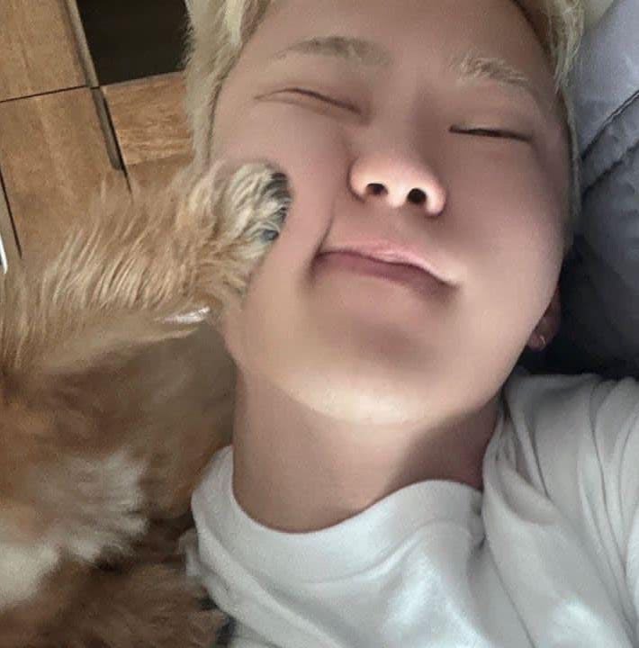 horanghaekyeom's tweet photo. some hoshi photos that are giving me cuteness aggression GRAHHHHH https://t.co/tc44PIdUCV