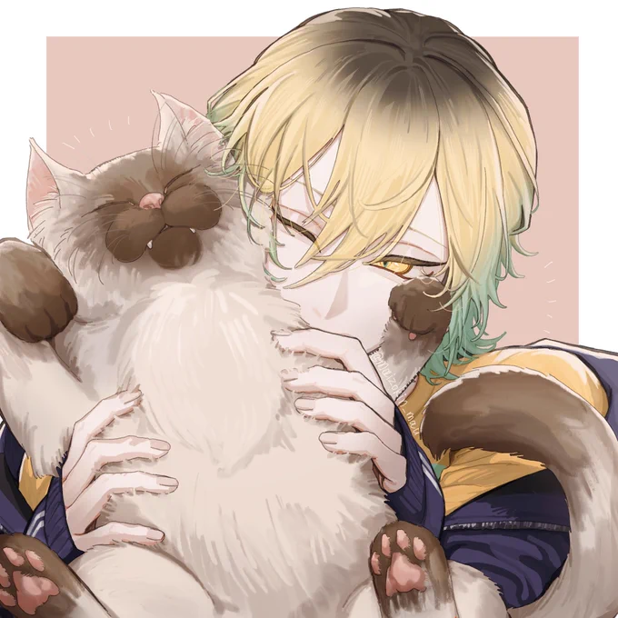  #ブレマイFA 