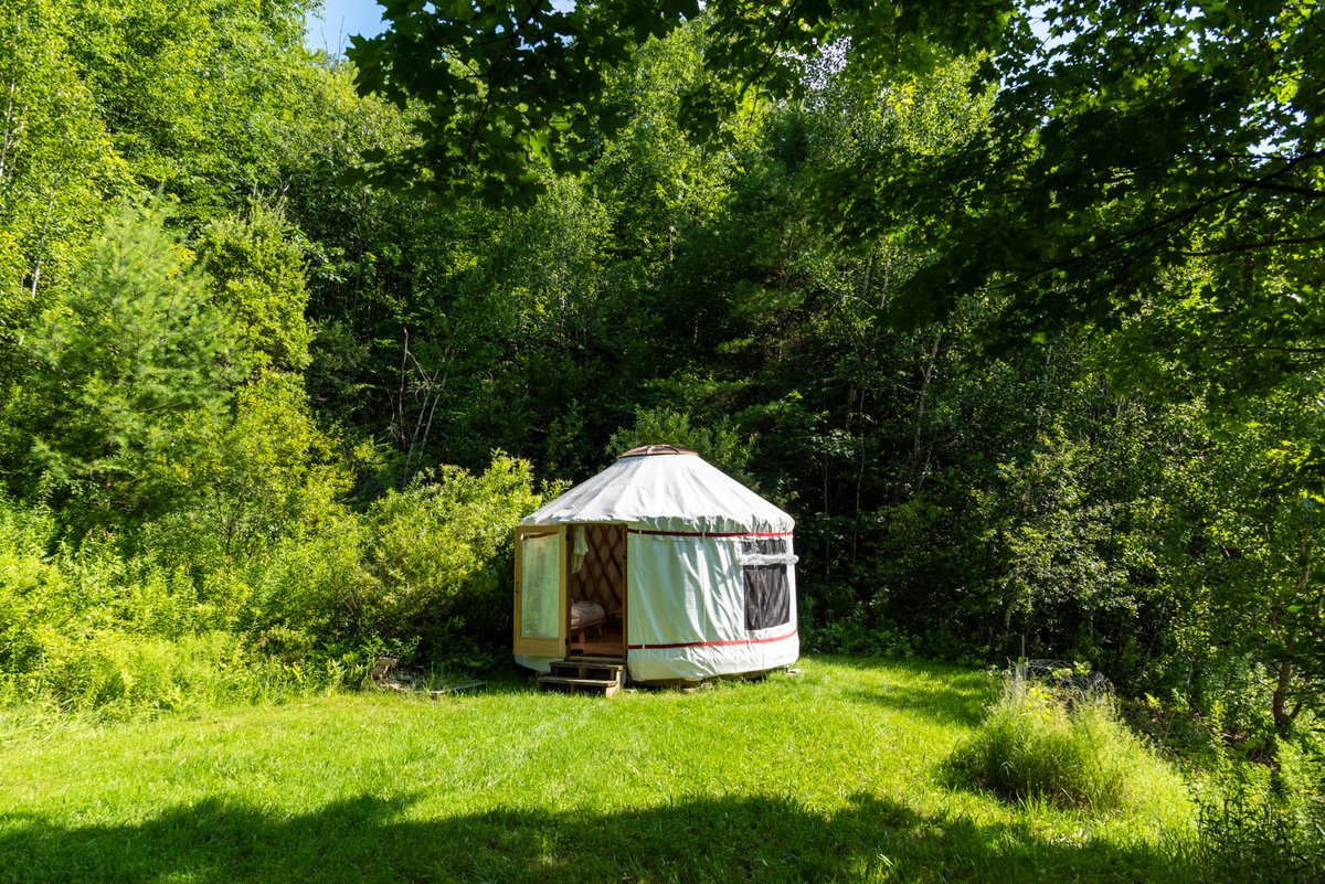 APPLICATIONS DUE MAY 21!!

Solo Exhibition at Field Projects 
&amp; Residency at In Situ Polyculture Commons @in_situ_polyculture
(+ $1000 stipend)
⁠
fieldprojectsgallery.com/solo-exhibitio…⁠
⁠