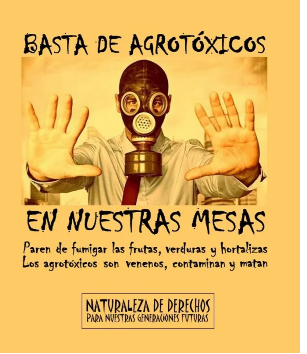 XavExiga's tweet photo. @catrina_nortena @Claudiashein Lo único que falta es dejar de importar maíz transgénico y eso lo hace Maseca y Cargill-optimasa y urge un etiquetado que nos advierta de #OGMS en productos de Kellogg's, Néstle, Quaker, Bimbo etc, deja de consumir productos ultraprocesados llenos de Aditivos y transgénicos. https://t.co/hSpRt9d3dA