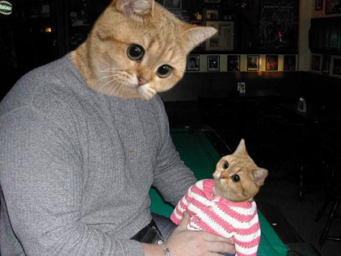 StarecatHelia's tweet image. All we need is just a little $Helia