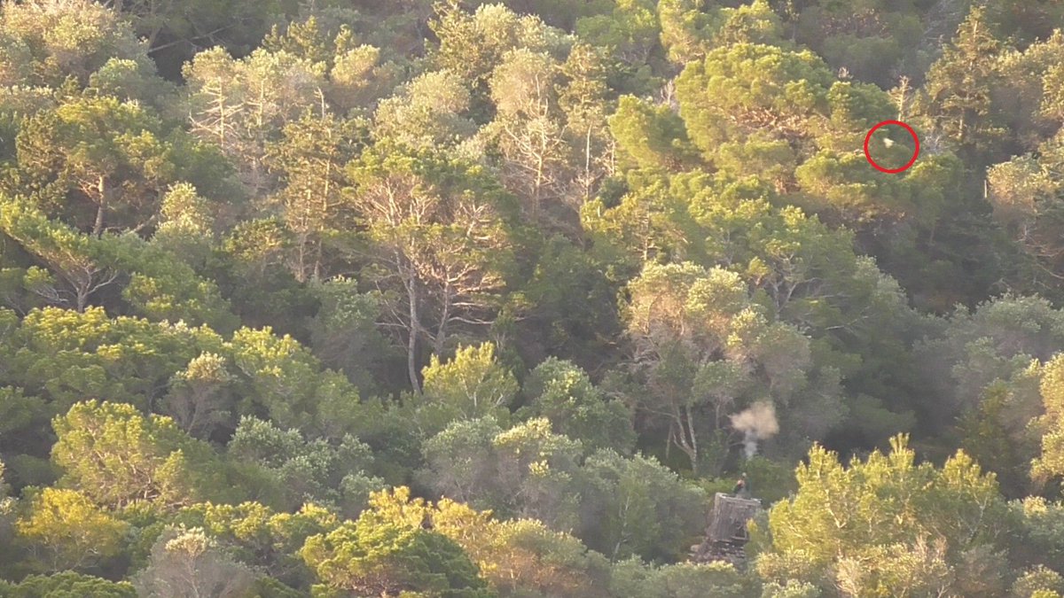 nik_barbara's tweet photo. A member of @FKNKMALTA shooting #turtledove illegally at Mizieb. We estimate 1,500 dove quota reached as hunters out for quail take advantage of turtledove migration.This farce is a #springhunting derogation and its only getting worse with @EU_ENV taking its time @JessikaRoswall https://t.co/Zkcim1cLMF