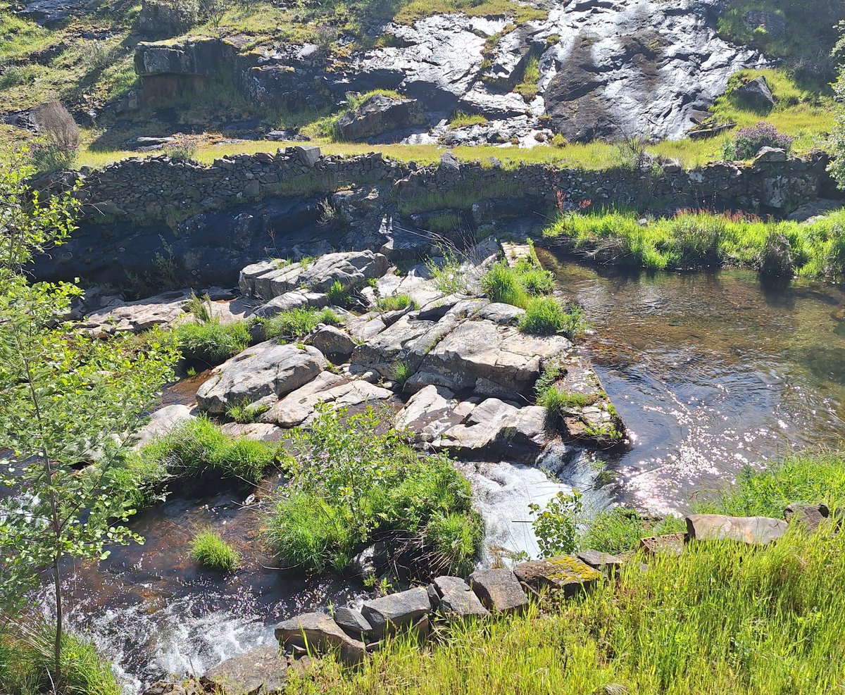 Los arroyos llenos. Con las lanchas de pizarra chorreando agua de las sierras.