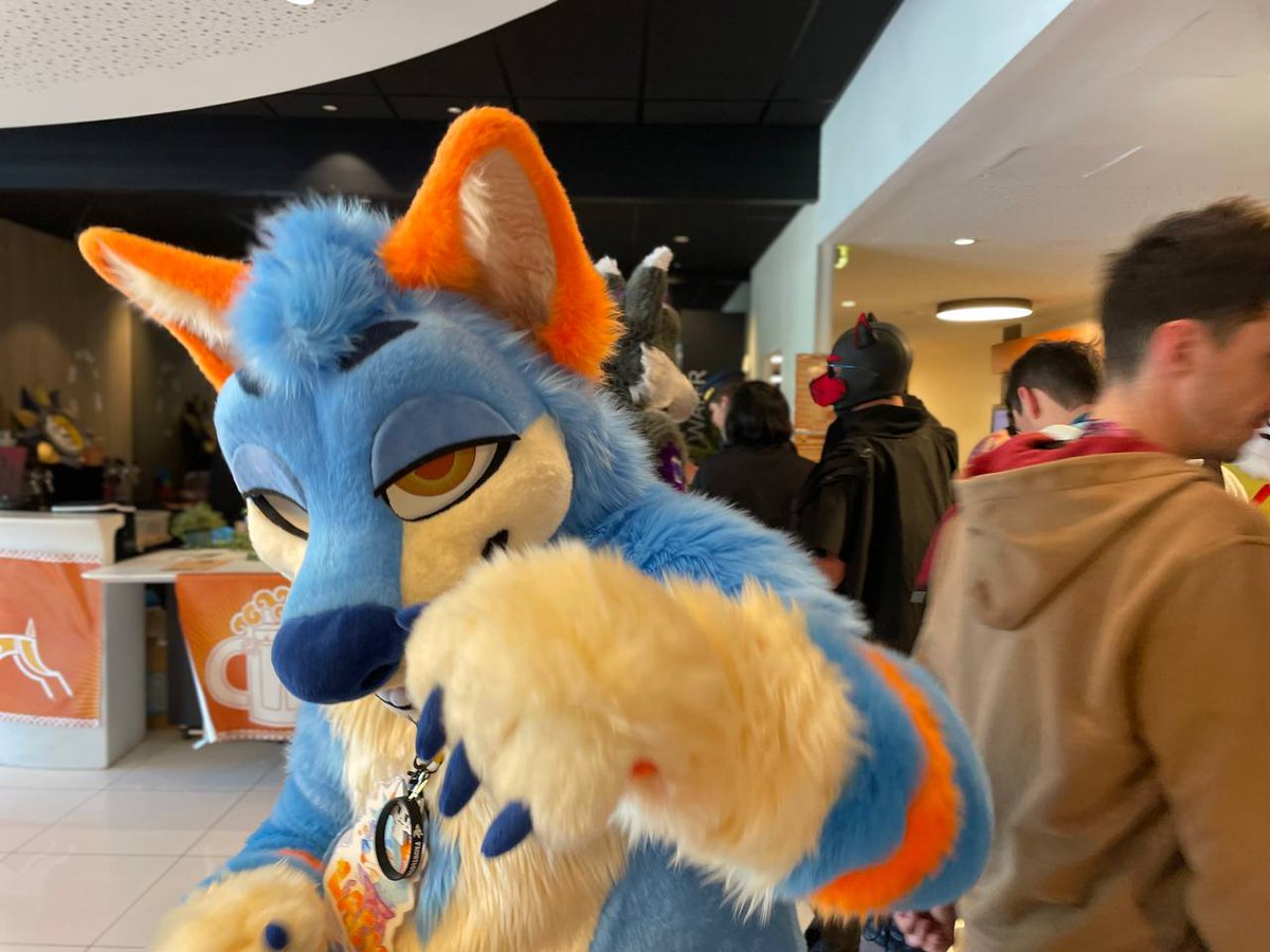 LackFur's tweet photo. OUUUUAAAAAAIIIISS https://t.co/MWKtviYnuS