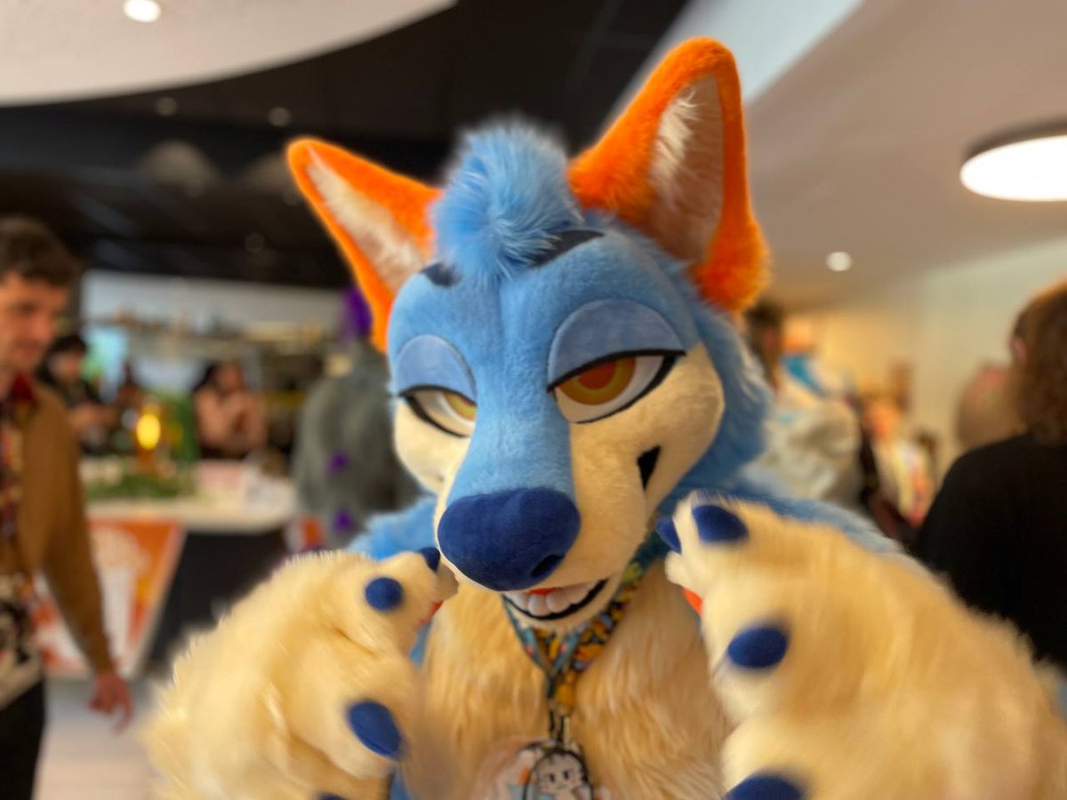 LackFur's tweet photo. OUUUUAAAAAAIIIISS https://t.co/MWKtviYnuS