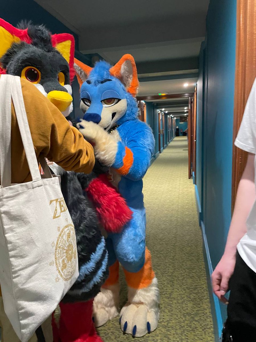 LackFur's tweet photo. OUUUUAAAAAAIIIISS https://t.co/MWKtviYnuS