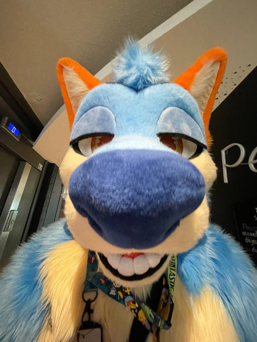 LackFur's tweet photo. OUUUUAAAAAAIIIISS https://t.co/MWKtviYnuS