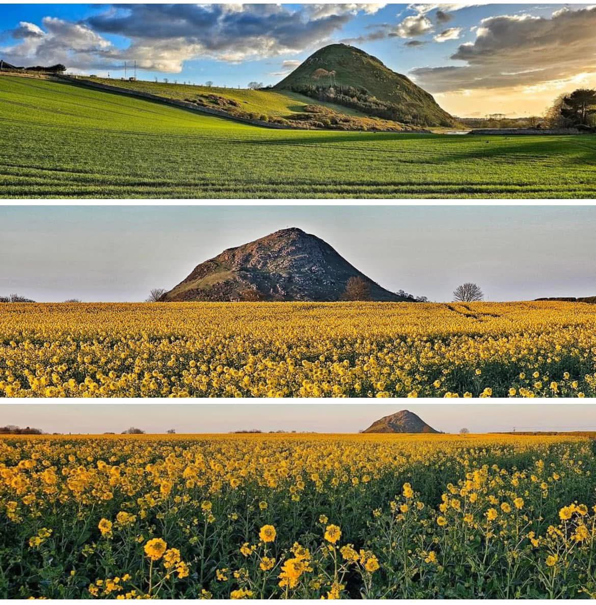 OConnellsOfHadd's tweet image. Discover #EastLothian 🏴󠁧󠁢󠁳󠁣󠁴󠁿

While you shop with us, we encourage you to explore the stunning beauty of our surroundings. From serene beaches to the lush countryside, East Lothian offers a unique blend of natural splendour and rich heritage.

#WearYourValues #LiveInColour