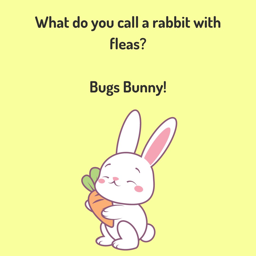 masterclass_the's tweet image. 🐰🌷 Hoppy Easter Weekend! 🌷🐰 

Who&apos;s ready for some egg-citing fun? Here&apos;s a little Easter joke to kick off your celebrations.

Wishing you all a wonderful Easter filled with joy, laughter, and plenty of chocolate treats! 🍫🥚 

#HappyEaster #EasterJokes #EggcellentHumor