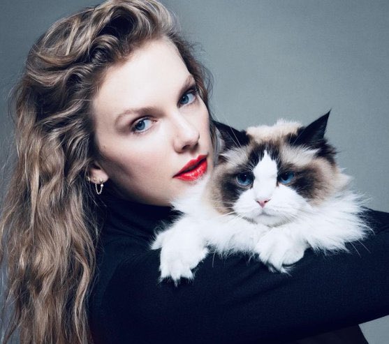 Today is National Cat Lady Day.