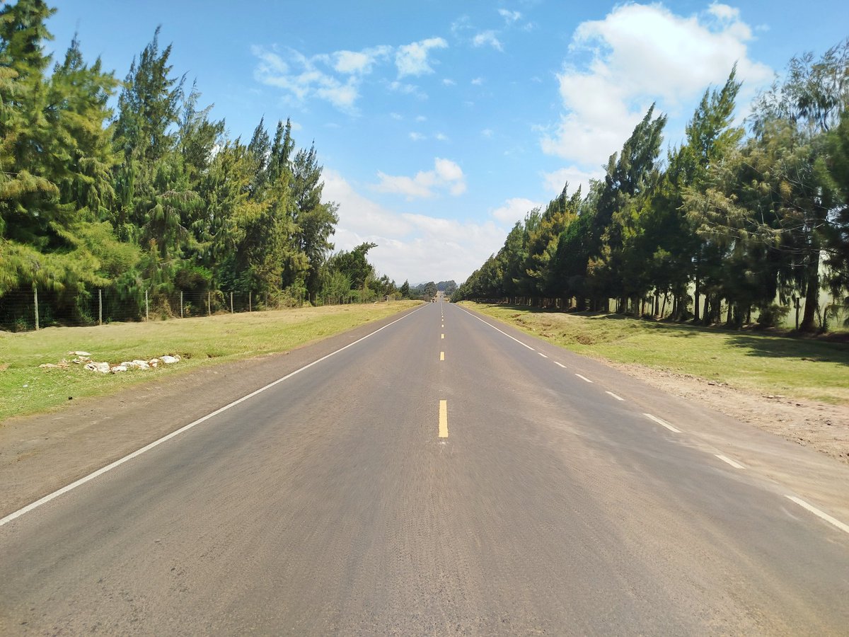 CHOBOS™ tweet media