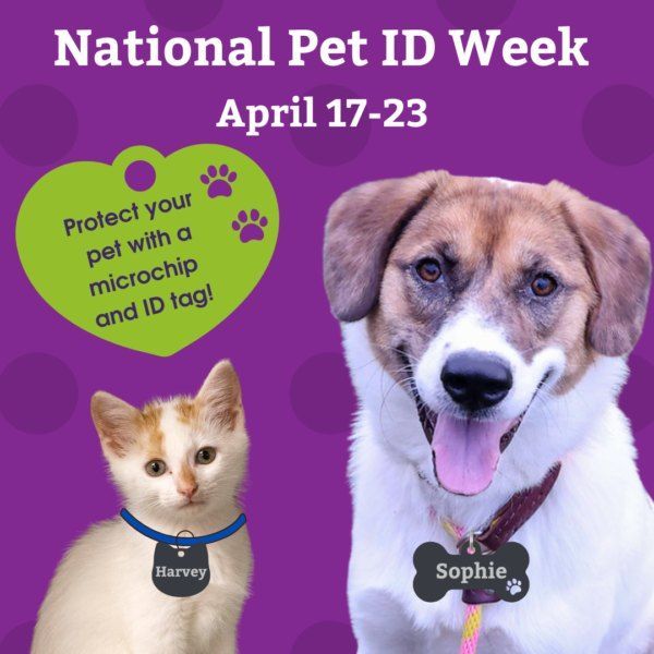 FremontHumane tweet media