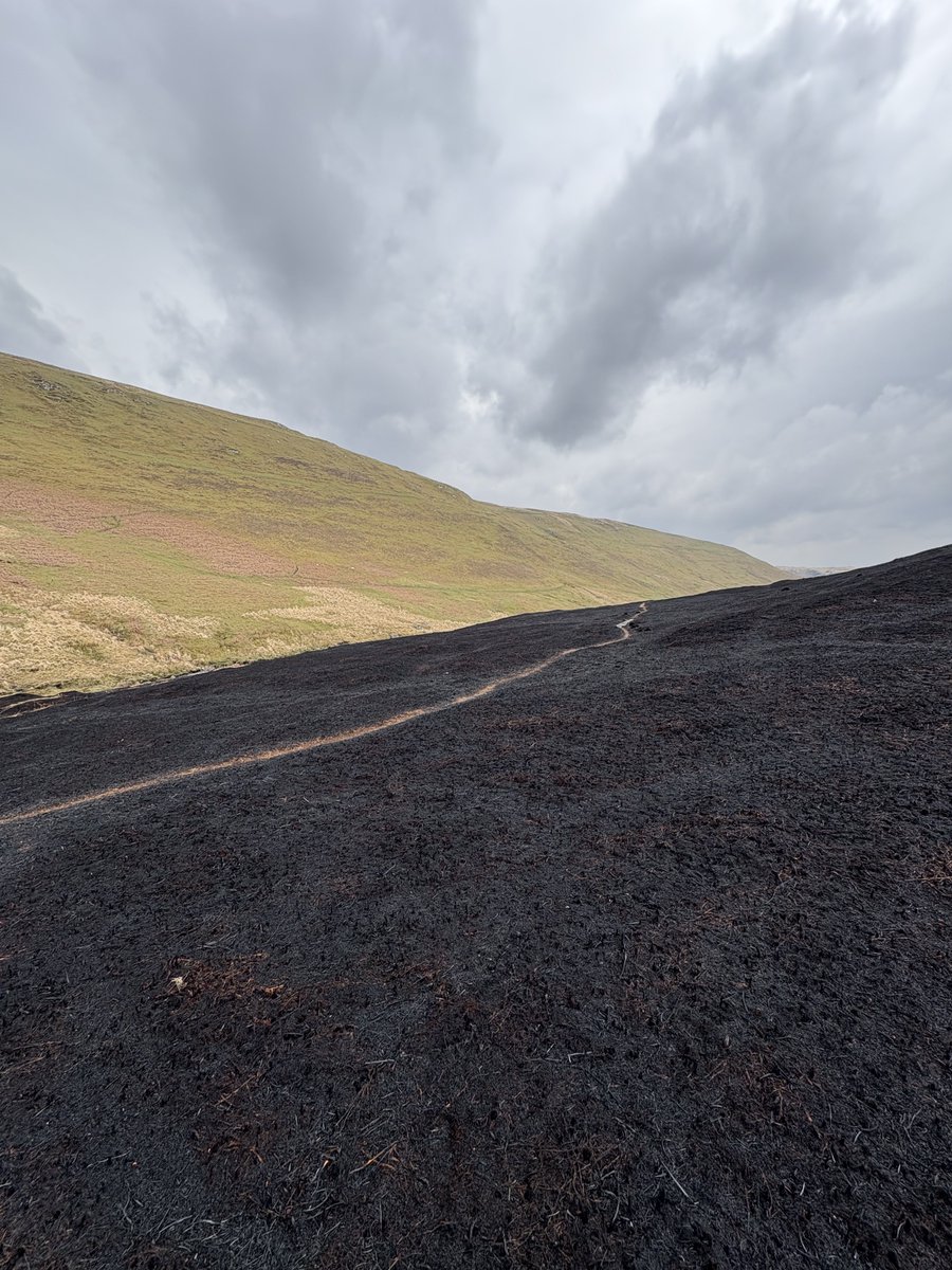 LloydFamFarm's tweet photo. Wow!  

Been up to the Abergwesyn.

Not sure what’s more crazy.  

The scenes that I am seeing or the fact that I can tweet about it in real time…

🧵 https://t.co/PSKM8BwtrF
