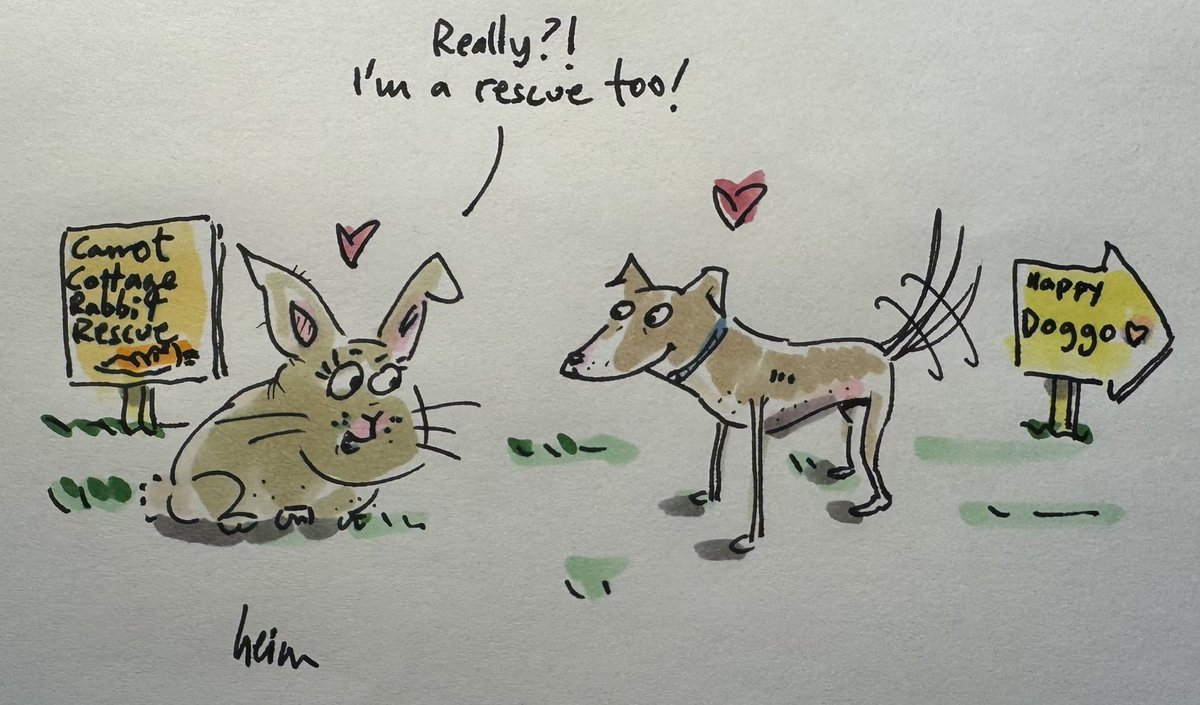 Great work by great people. 
<a href="/NiallHarbison/">Niall Harbison</a> 
<a href="/wearehappydoggo/">Happy Doggo</a> 
<a href="/carrotcottagerr/">Carrot cottage rabbit rescue</a>