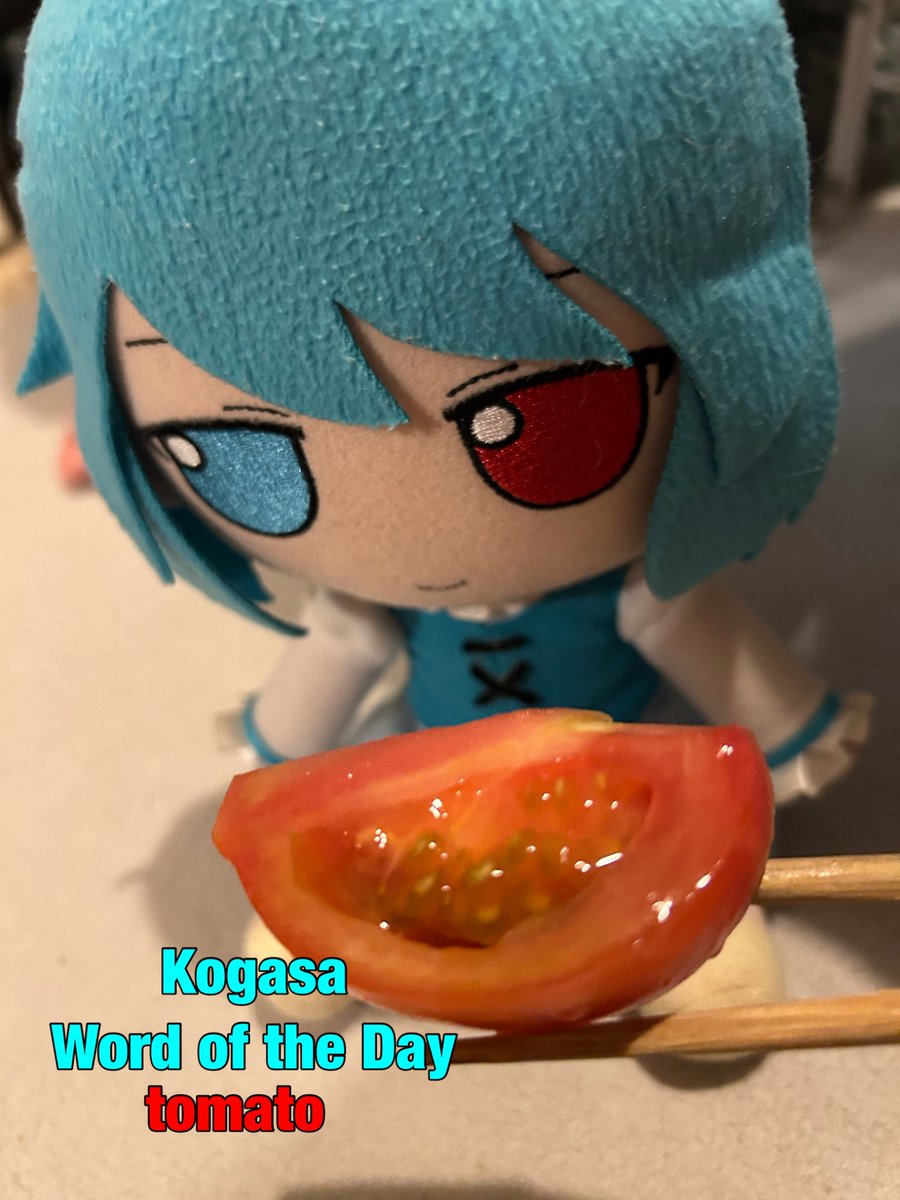kogasa Word of the Day tweet media