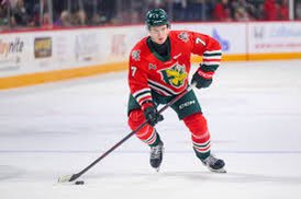 Congratulations to Liam Kilfoil 🇨🇦 and Carlos Handel 🇩🇪 who will participate in the IIHF U18 Men’s Word Championship April 23-May 3 in Texas. #GoMooseGo