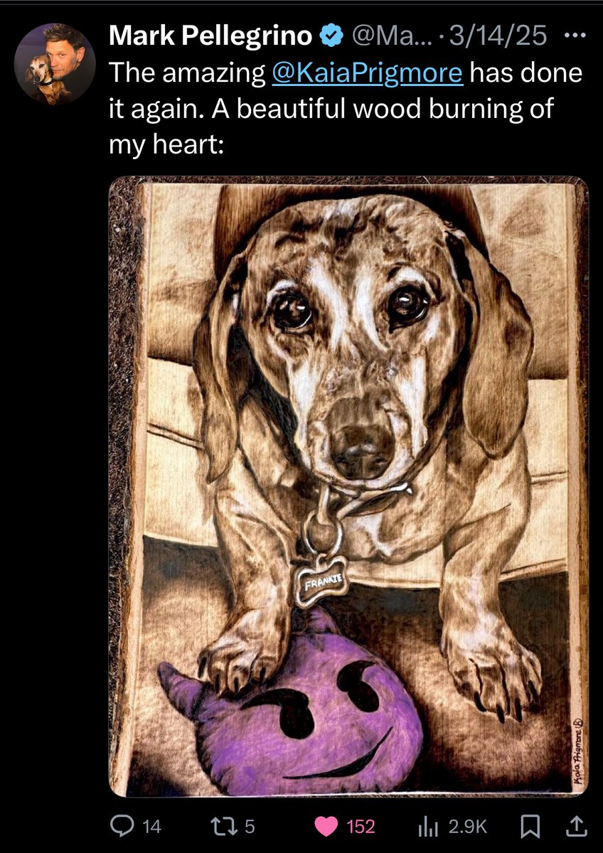 WeStandWithMark's tweet photo. Just a sweet man who loves his dog &amp; values art and his fans 🥰
#WeStandWithMark https://t.co/y93vsSYKu8