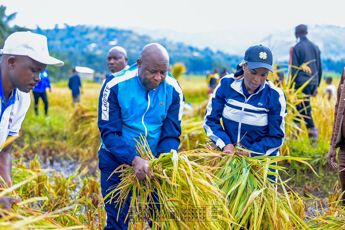KwaNtare's tweet photo. Nyenicubahiro @GeneralNeva, umuhizi mw'iterambere ry'uburimyi, ari kumwe n'Umutambukanyi wiwe Nyenicubahiro @Burundi1stLady, kuri uyu wa 19/4, yimbuye umurima wiwe w'umuceri wo mu bwoko bwa hybride 207, yarimiye ku mutunba #Gifurwe muri komine #Mpanda, intara ya @BubanzaProvince. https://t.co/KaMNUvN3Bw