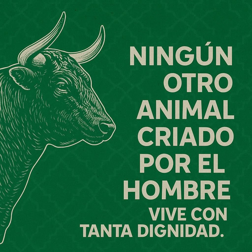 Ametaurino 🕊️ (@ametaurino) on Twitter photo 