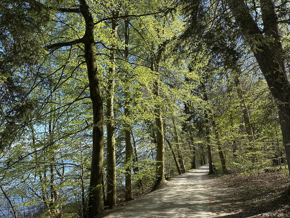 furkanmtorun's tweet image. ๐๏ธ Catching rays and peace in sunny #Munich๐ Just what I needed ๐