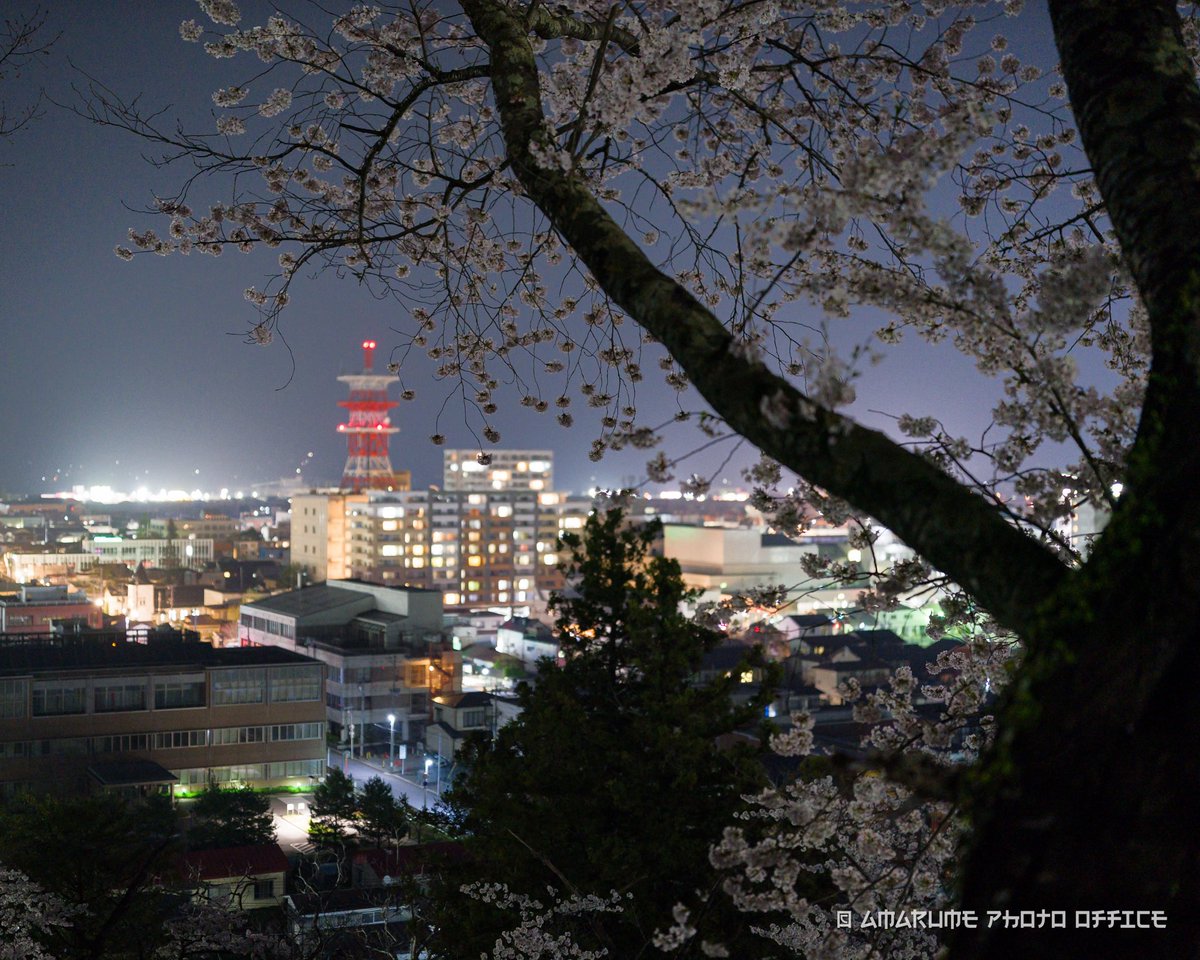 amarume_T's tweet photo. ひっそりと
#桜 #夜桜 #夜景 #岩手 #一関
#Sony #α9ii #sigma #40f14 #mc11 https://t.co/Oyd2t2vt0b