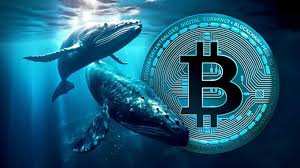 TheCryptoWdz's tweet photo. Bitcoin whales are buying 300% more BTC than is being mined — next stop $100K? 📈 Full Read: https://t.co/Xx7SlIYghE

#Bitcoin #BTCwhales #CryptoNews #BTC100K #CryptoMarket #GlassnodeData #BTCChart #CryptoInvesting #BitcoinBullRun https://t.co/4vtiWLXP5p