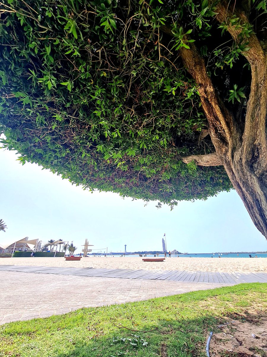 Lagi mikir...
Udh 10 thn di AbuDhabi. IRT. Ga ada anak. Ga kerja krn hrs bolak balik ke Indo ngurus bokap sakit. Bokap udh ga ada. Skrg tetep bolak balik ngurus nyokap. Tiba2 ada yg nawarin kerjaan disini. Umur gw 50thn. Dilema kan.. pengen bngt kerja lagi, tapi nyokap gimana..