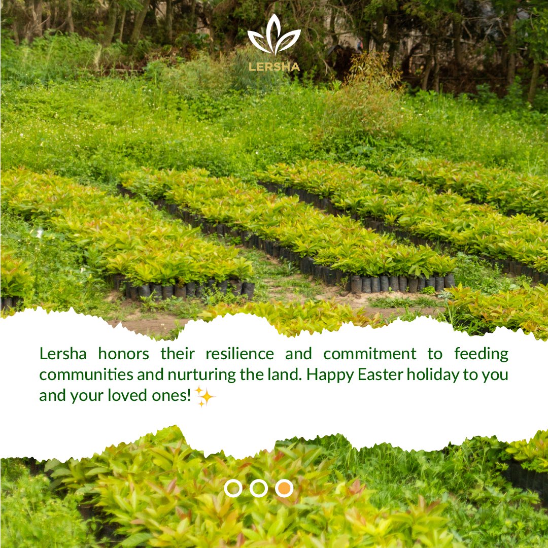 ✨ We Wish you all a blessed Easter full of hope and joy."                                                   
#Eastercelebration  #Lersha #AddisAbaba #Ethiopia
