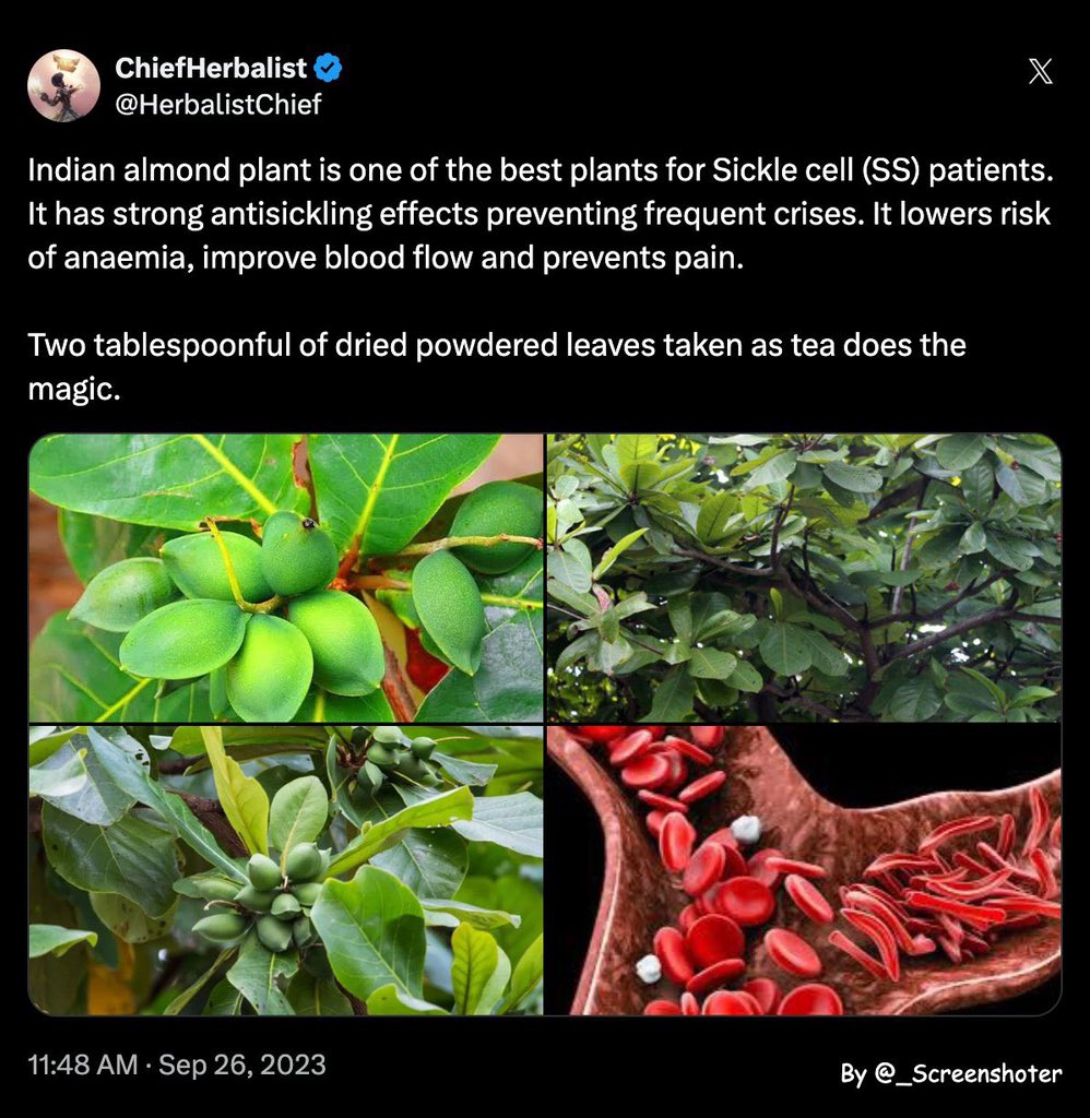 His sickle cell daughter is now healthy and strong. 

Nature heals.