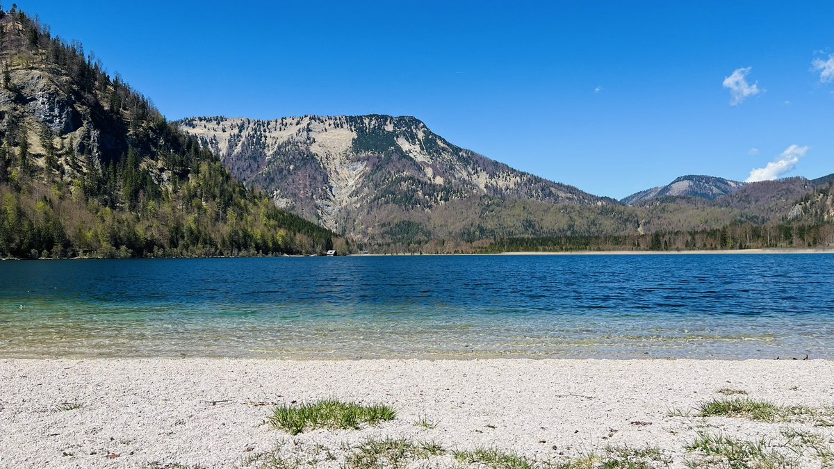 Christoph Dolna-Gruber 🇪🇺 tweet media