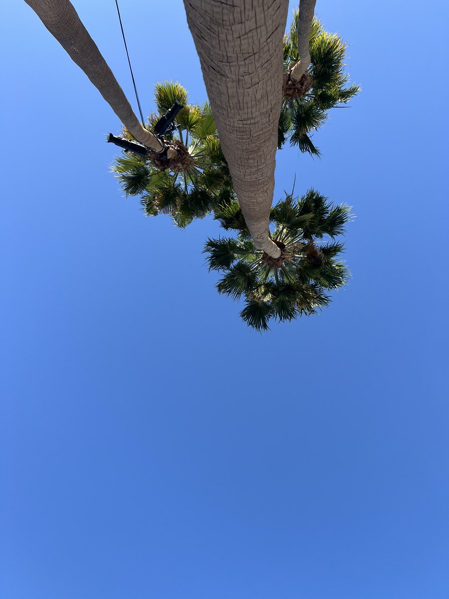 ZavenTheRapper's tweet image. Yes I hold $QNT 
Yes I am #Quamfy