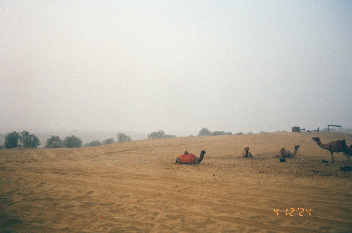 mellamot_bone's tweet photo. rajasthan on film

december, 2024 https://t.co/DFogVLVeiH