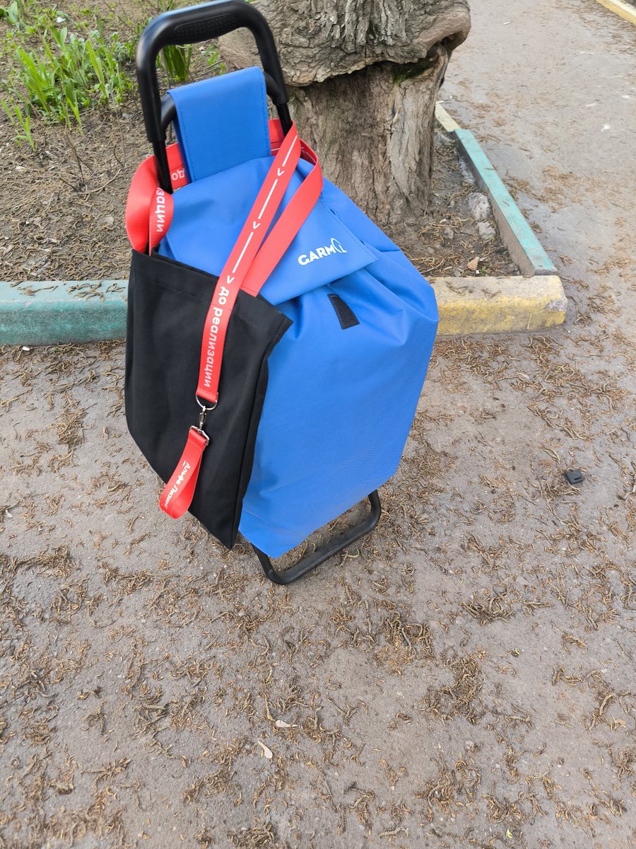 Пошла за продуктами и бытовой химией для дома с сумкой тележкой,надо же оправдывать статус богини одноклассников засидевшейся в твиттере,зато спина не надрывается