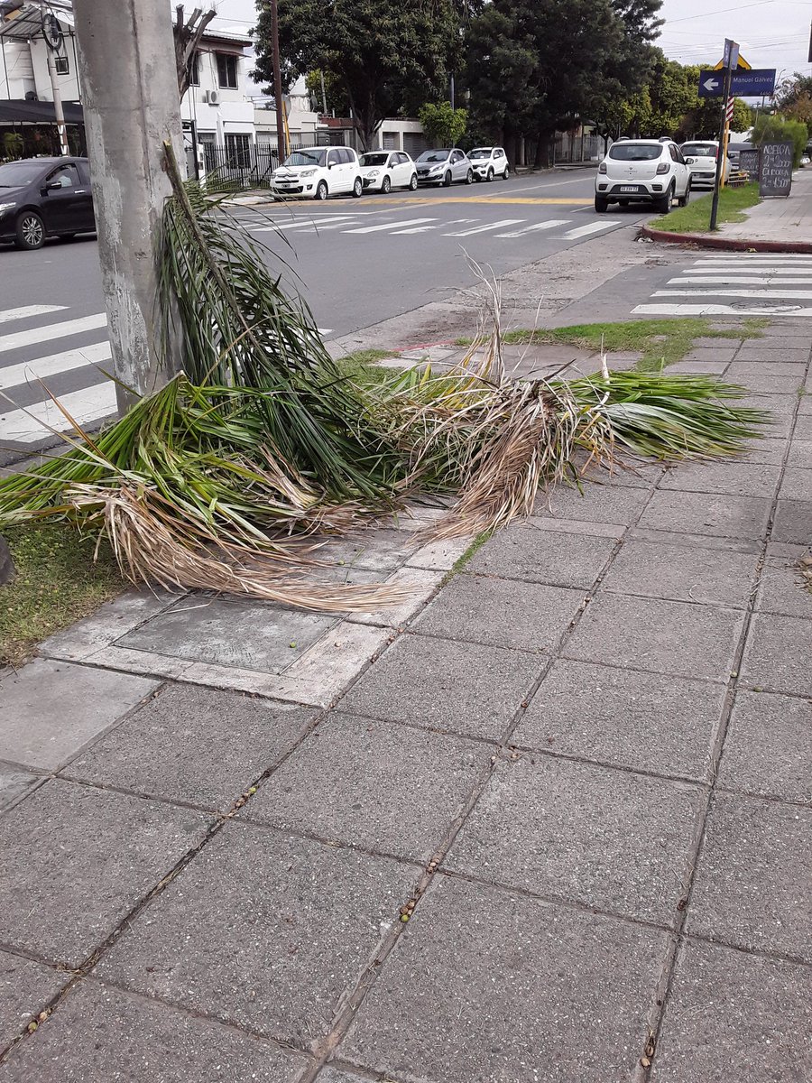 celuphilipsfp's tweet photo. Sres @EpecOficial , porqué tengo que levantar los restos de podas que ustedes tiran? A mi no me pagan sus sueldos millonarios para ser sirviente de ustedes.Hoy, 06:30 hs. Barrio Poeta Lugones.  Nos roban descaradamente con el precio de la electricidad.  Levanten la mugre https://t.co/SDNKDOI1kN