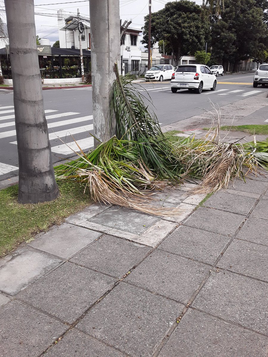 celuphilipsfp's tweet photo. Sres @EpecOficial , porqué tengo que levantar los restos de podas que ustedes tiran? A mi no me pagan sus sueldos millonarios para ser sirviente de ustedes.Hoy, 06:30 hs. Barrio Poeta Lugones.  Nos roban descaradamente con el precio de la electricidad.  Levanten la mugre https://t.co/SDNKDOI1kN