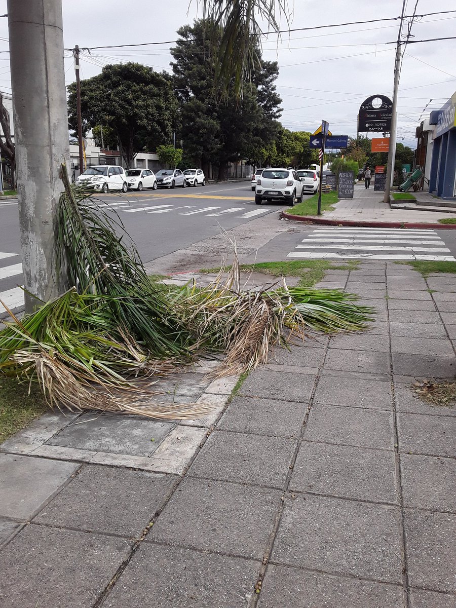 celuphilipsfp's tweet photo. Sres @EpecOficial , porqué tengo que levantar los restos de podas que ustedes tiran? A mi no me pagan sus sueldos millonarios para ser sirviente de ustedes.Hoy, 06:30 hs. Barrio Poeta Lugones.  Nos roban descaradamente con el precio de la electricidad.  Levanten la mugre https://t.co/SDNKDOI1kN