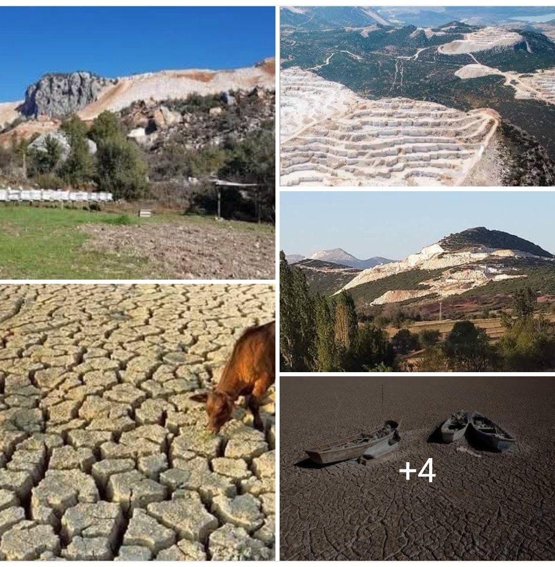 Damarda grafen 
Tepemizde  baryum 
Ekmekte gluten 
Tarım ürünlerinde Pestisit......Maşallah  Kara Murat gibi ayaktayız