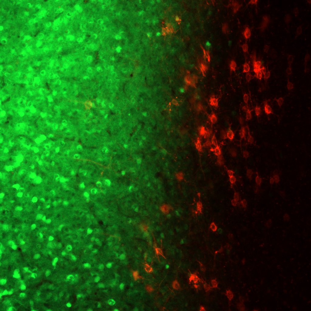 John Stout tweet media