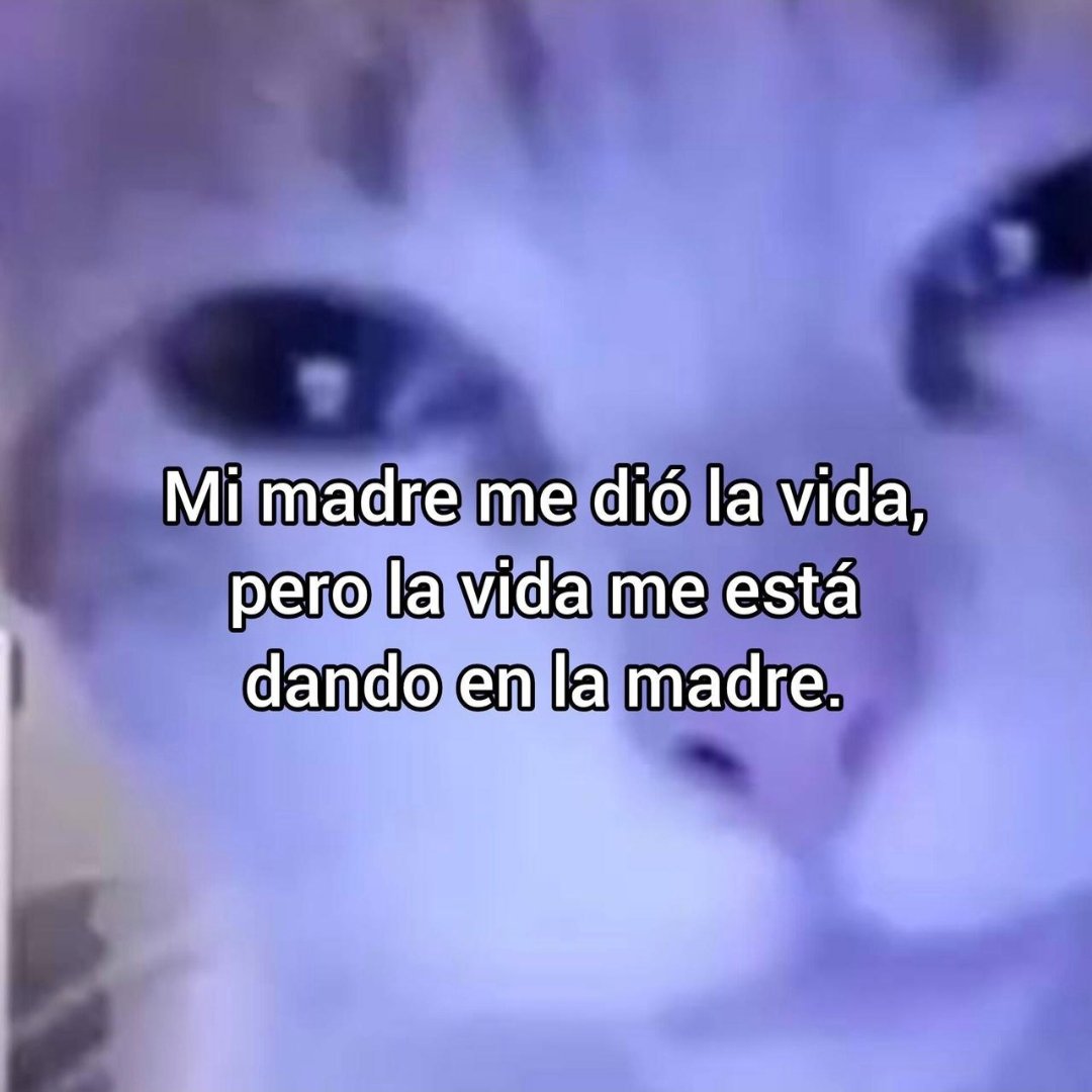 En Júpiter tweet media