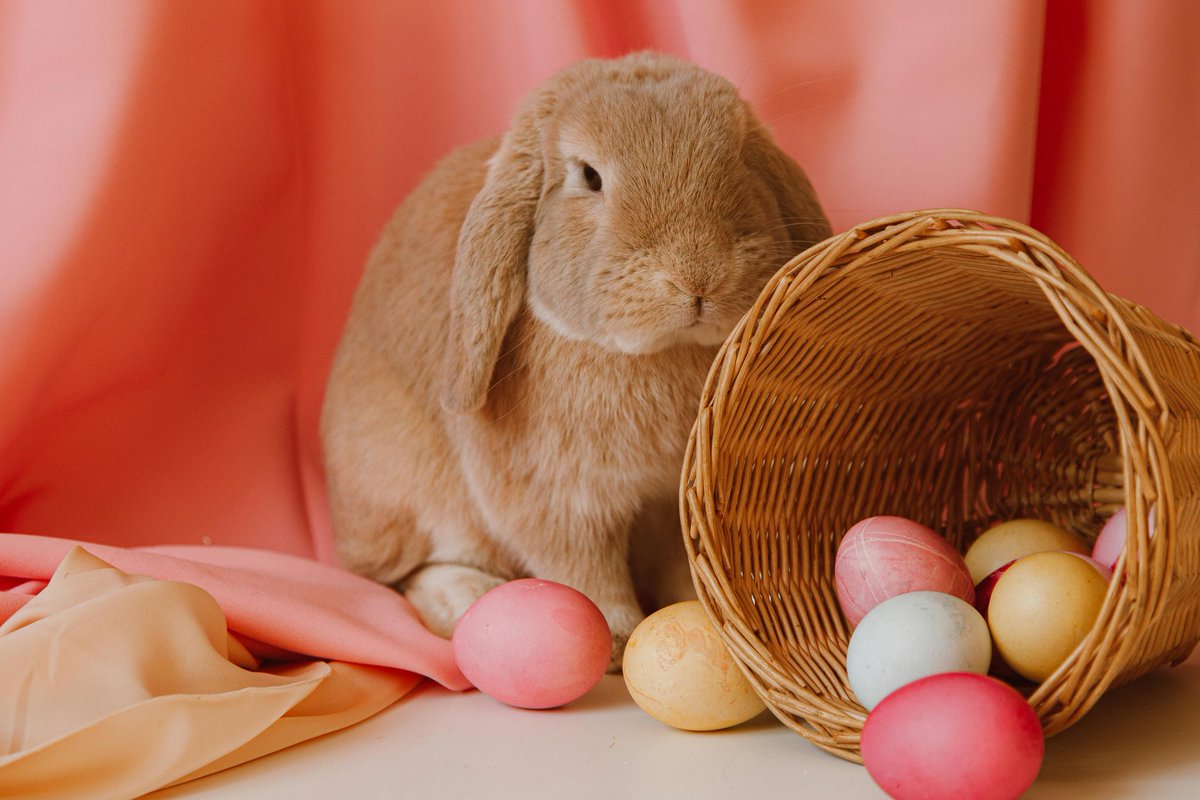 HENRIOLM's tweet photo. 🐰🍫 Découvrez mon nouvel article : une douce analogie entre dyslexie et chocolat. 

https://t.co/8POz9EHwQ2

#dyslexie #troublesdys #dysorthographie #dys #chocolat https://t.co/LRyx2HjqSo