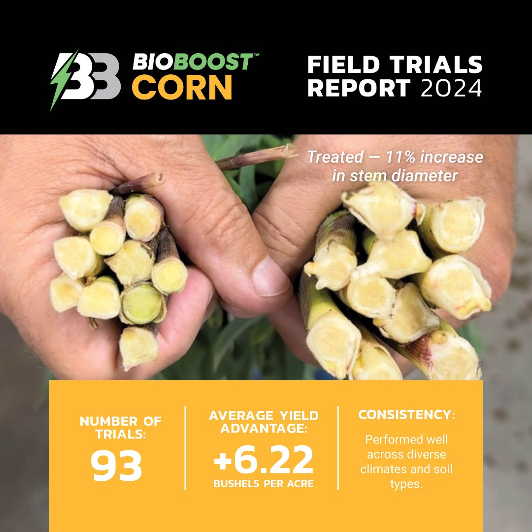 bw_fusion's tweet photo. BioBoost Corn data from 93 field trials, spanning numerous states with diverse climates and soil types. What are some of the trends we saw? What about impact on yield and overall ROI?
Swipe through to view the data. 👇🌱 #TrusttheDust
#bioboost #bwdifference #betterbiology #farmprofitability #cropnutrition #bwfusion #leadersinthefield