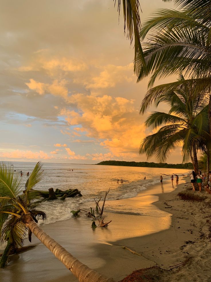 i walk around barefoot and shirtless all day

i eat local grass fed meat and fruit

i dont hear sirens or helicopters ever

i surf whenever i want to

i'm surrounded by trees, animals and nature

everyone is beautiful

where you live has the biggest impact on your health