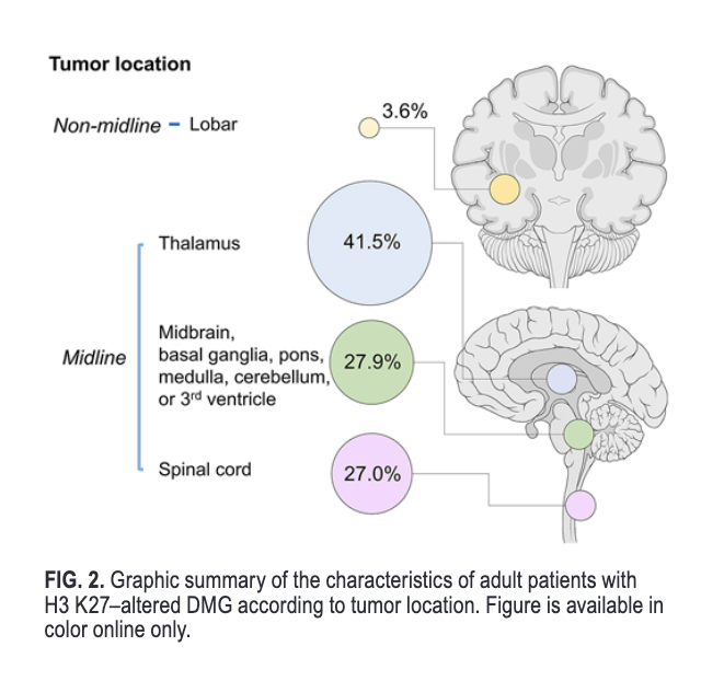 Journal of Neurosurgery (@thejns) on Twitter photo #OnlineFirst: A comprehensive multicenter analysis of clinical, molecular, and imaging characteristics and outcomes of H3 K27–altered diffuse midline glioma in adults. 
thejns.org/view/journals/…. #OnlineFirst: A comprehensive multicenter analysis of clinical, molecular, and imaging characteristics and outcomes of H3 K27–altered diffuse midline glioma in adults. 
thejns.org/view/journals/….