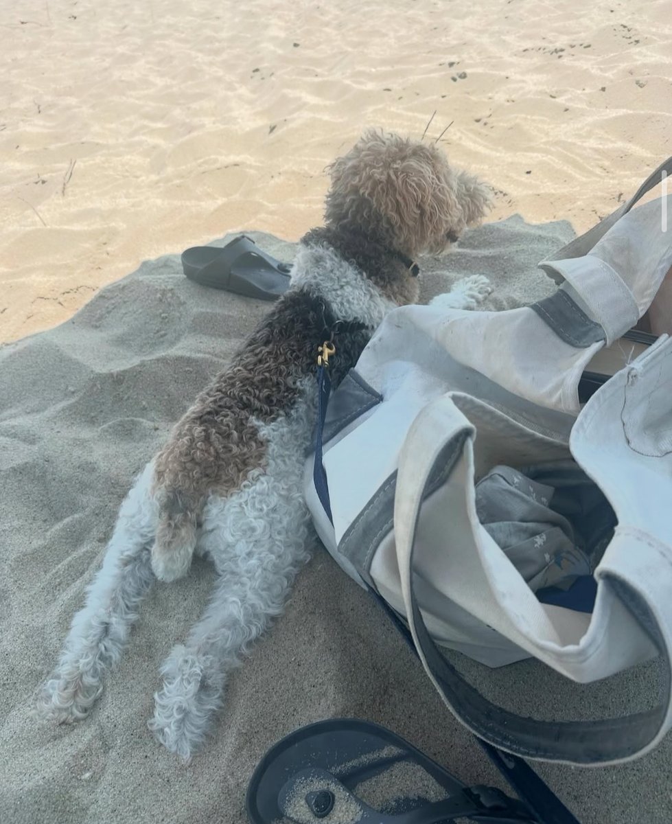 VentureMom.com tweet media