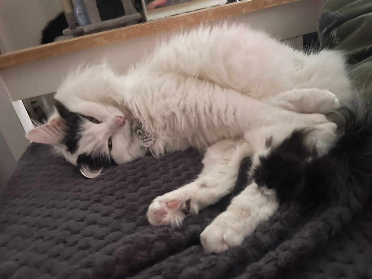 TumiMarapo's tweet photo. Why does she sleep like the rent is paid??🧐 https://t.co/uRx5lr0LYo