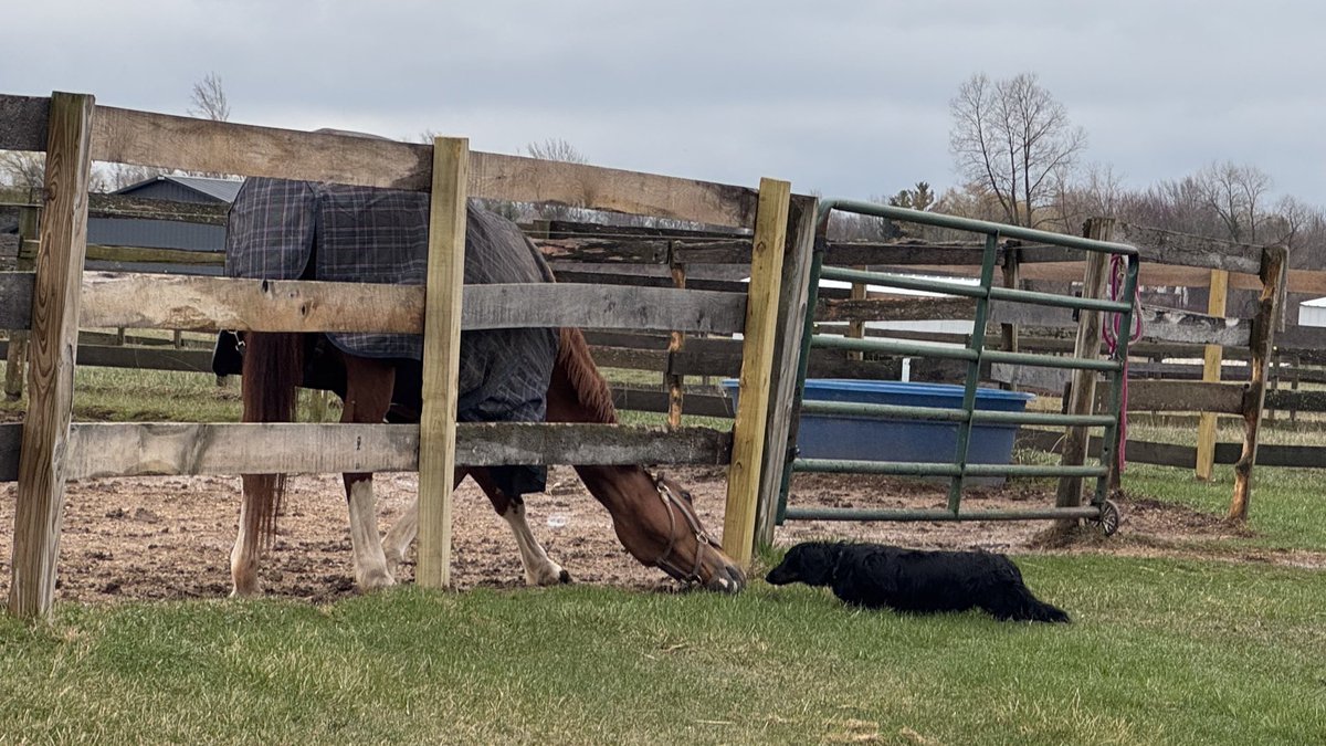 you will also be seeing this on insta bc i think it’s very cute