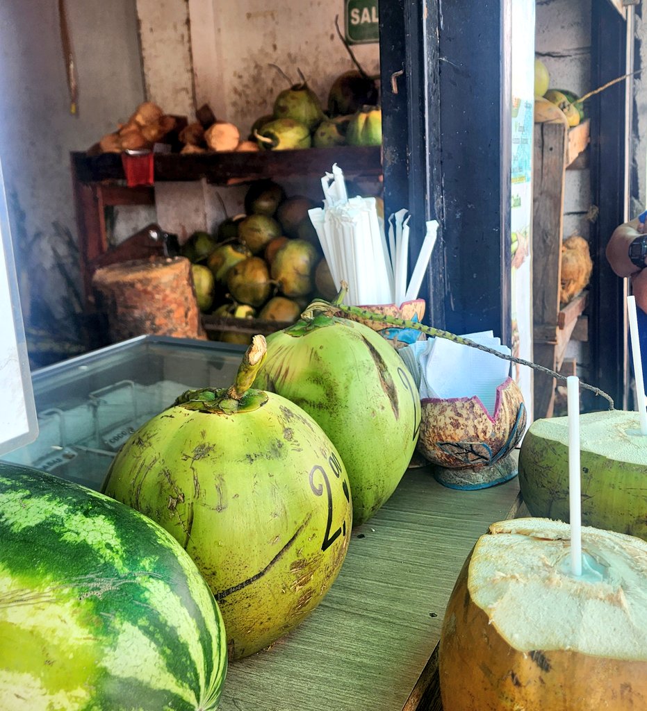 BrendaCV70's tweet image. No es mi hermoso #Manabí pero hay #cocos 🥥🥥💕